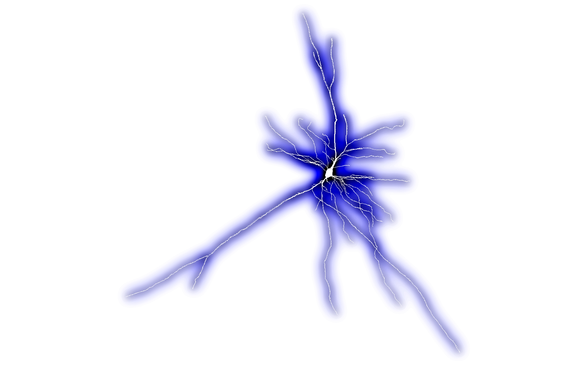 Matriarch Neuron