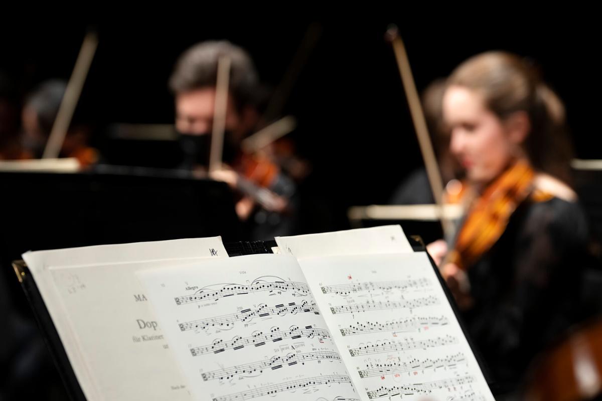 Festival Orchestra Concert