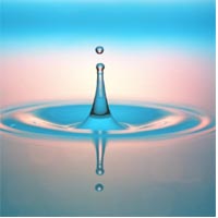 Water Drop