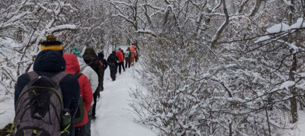 Hiking through snowy woods