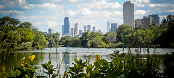 Photo of the Chicago skyline