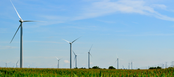 Photo of a wind farm in Illinois