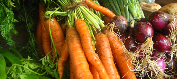 Photo of carrots and onions from a garden