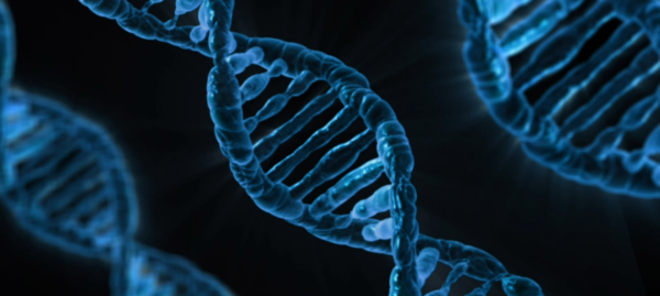 Image of DNA strands