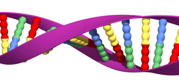 illustration of dna