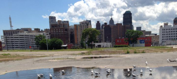 photo of a city skyline with water and seagulls in the foreground