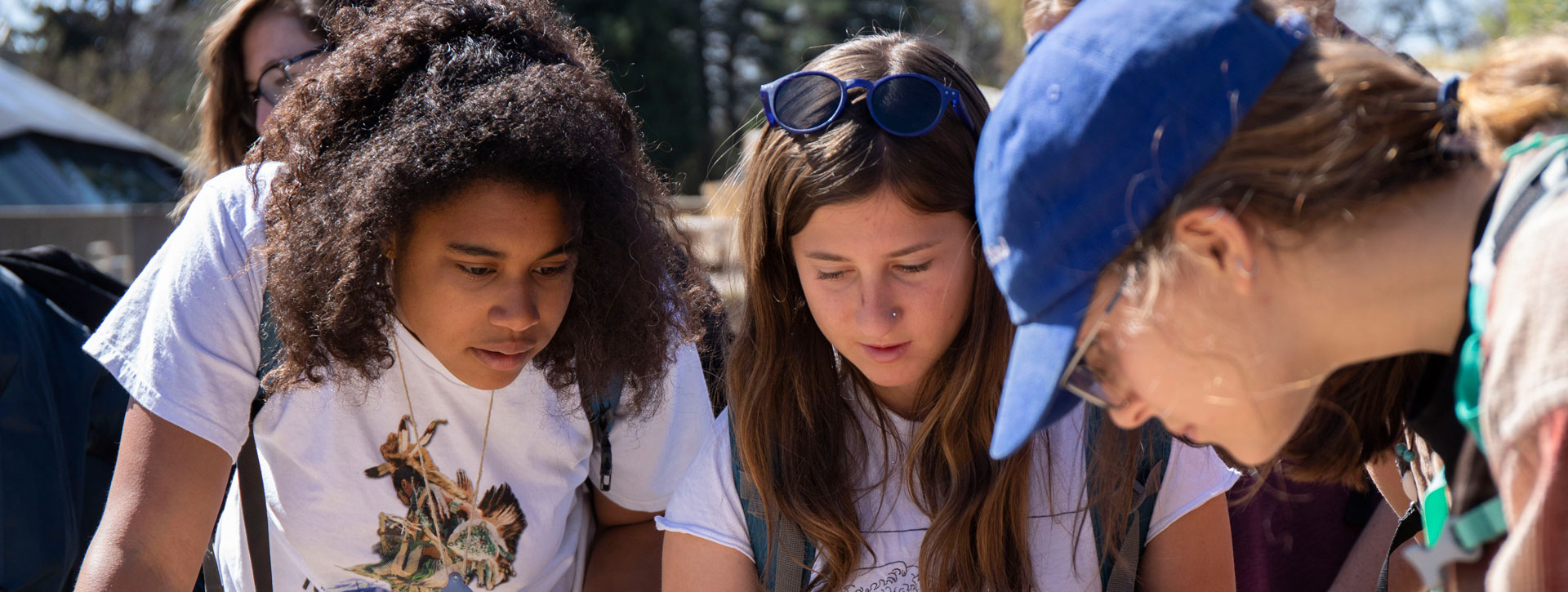 , and  lean in to get a closer look at desert flora. Students in Rachel Jabaily's Organismal Biology Field Botany course visited the Denver Botanic Gardens to observe plants as well as visit the herbarium that is present on the grounds.