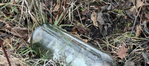 photo of empty bottle in grass