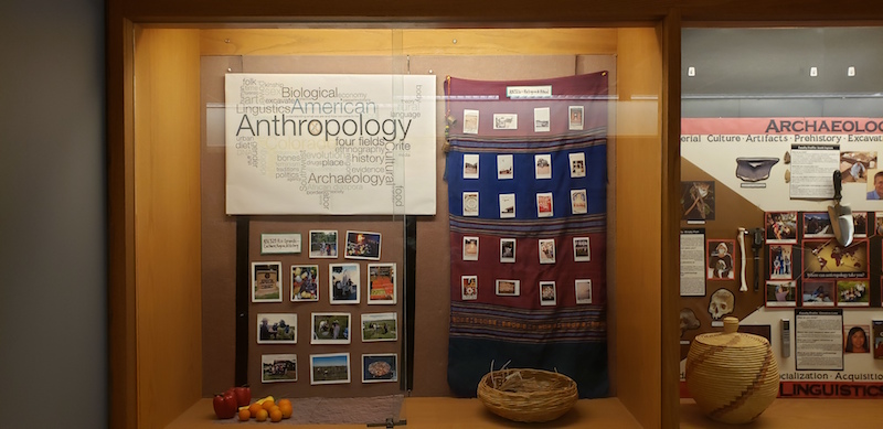 A cabinet display on Anthropology in the 3rd floor hallway <span class="cc-gallery-credit"></span>