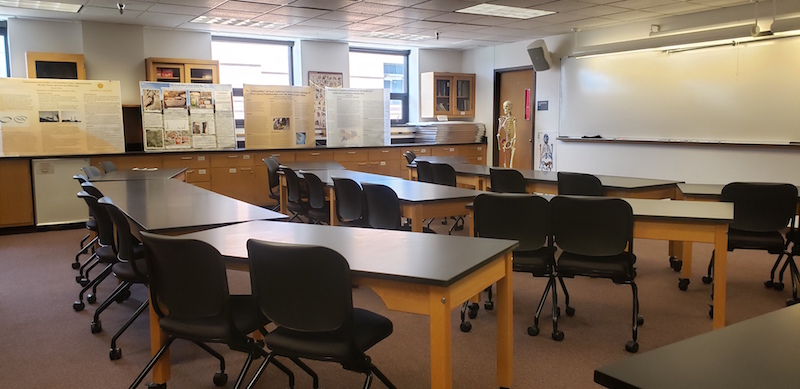 The Hess Physical Anthropology classroom (405) <span class="cc-gallery-credit"></span>