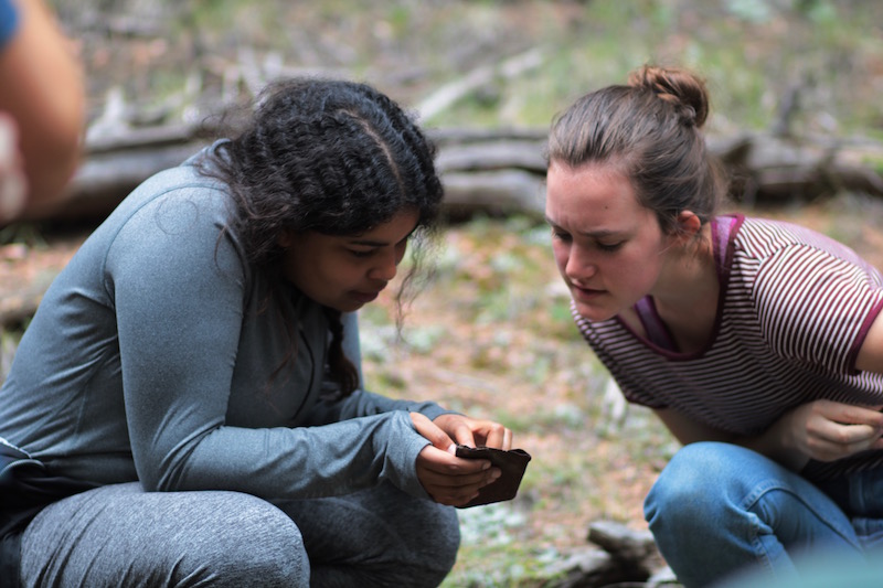 Our Historic Archaeology courses conduct research in the Manitou Experimental Forest. Students learn to identify historic artifacts and their associated dates. <span class="cc-gallery-credit"></span>