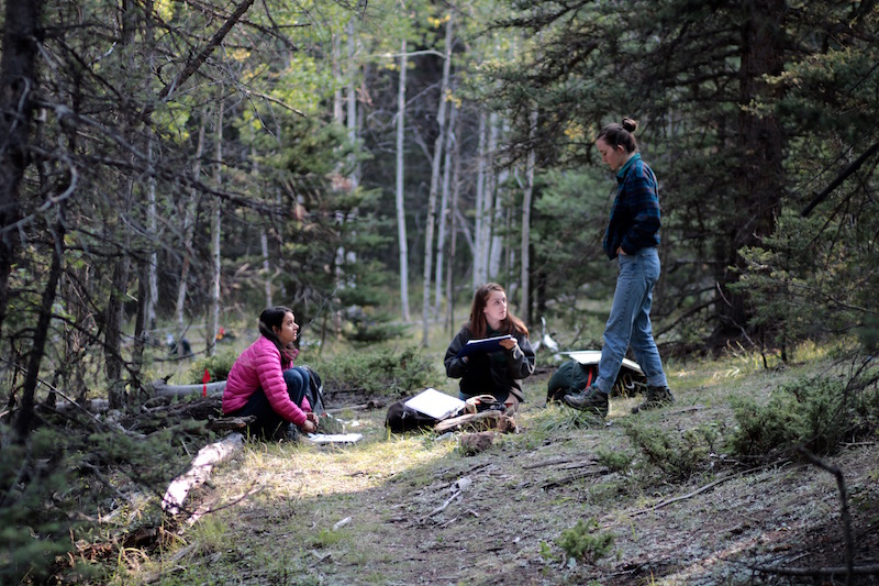 Our students gain first-hand experience with professional standards of documentation. Reports and forms completed by students are often submitted to the Forest Service as part of the course. <span class="cc-gallery-credit"></span>