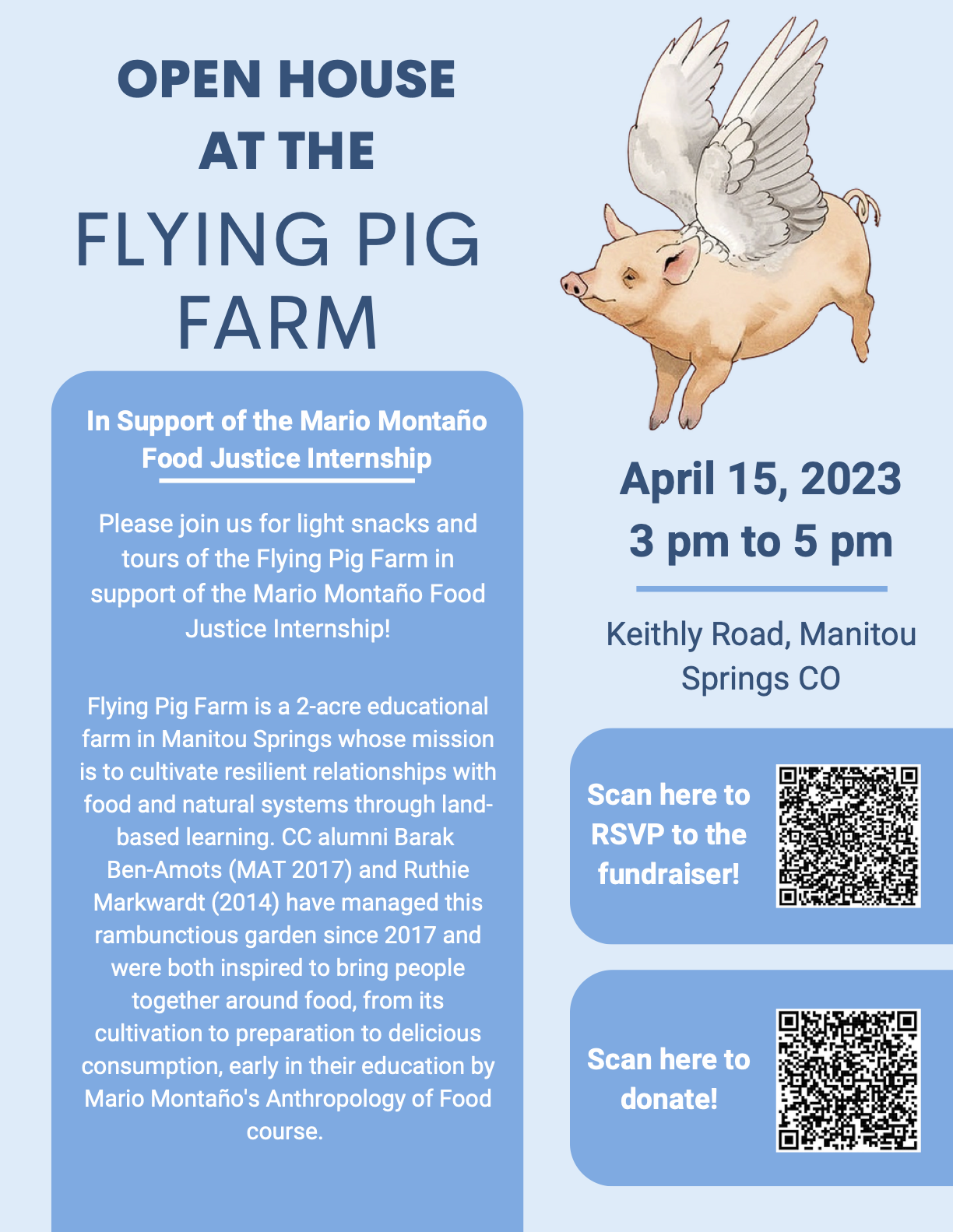 Flying-Pig-Flyer.png