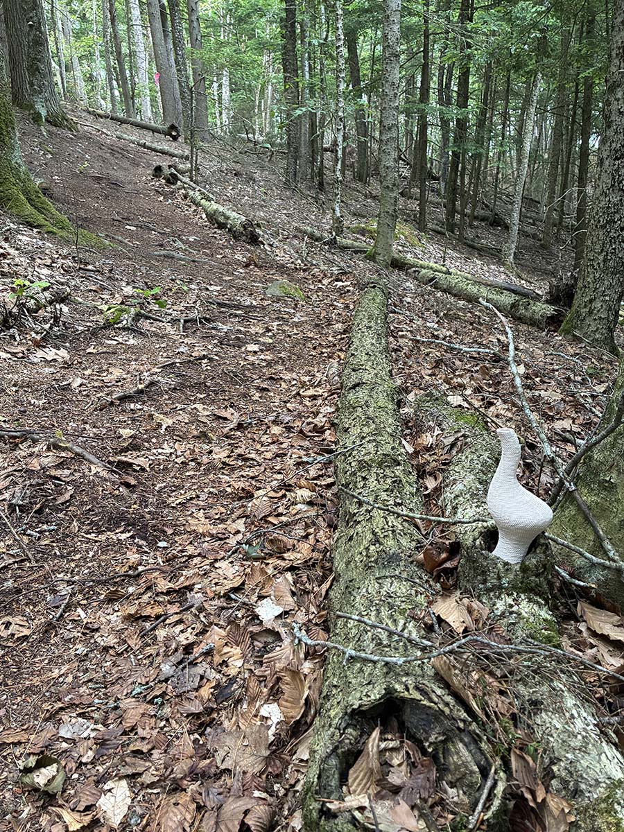 A heavily wooded area with a digitally printed ceramic sculpture next to a fallen tree