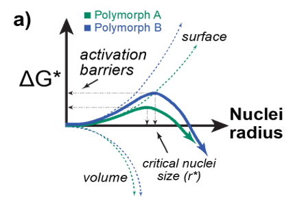 polymorphs A and B activation barriers graph change in free energy versus nuclei radius