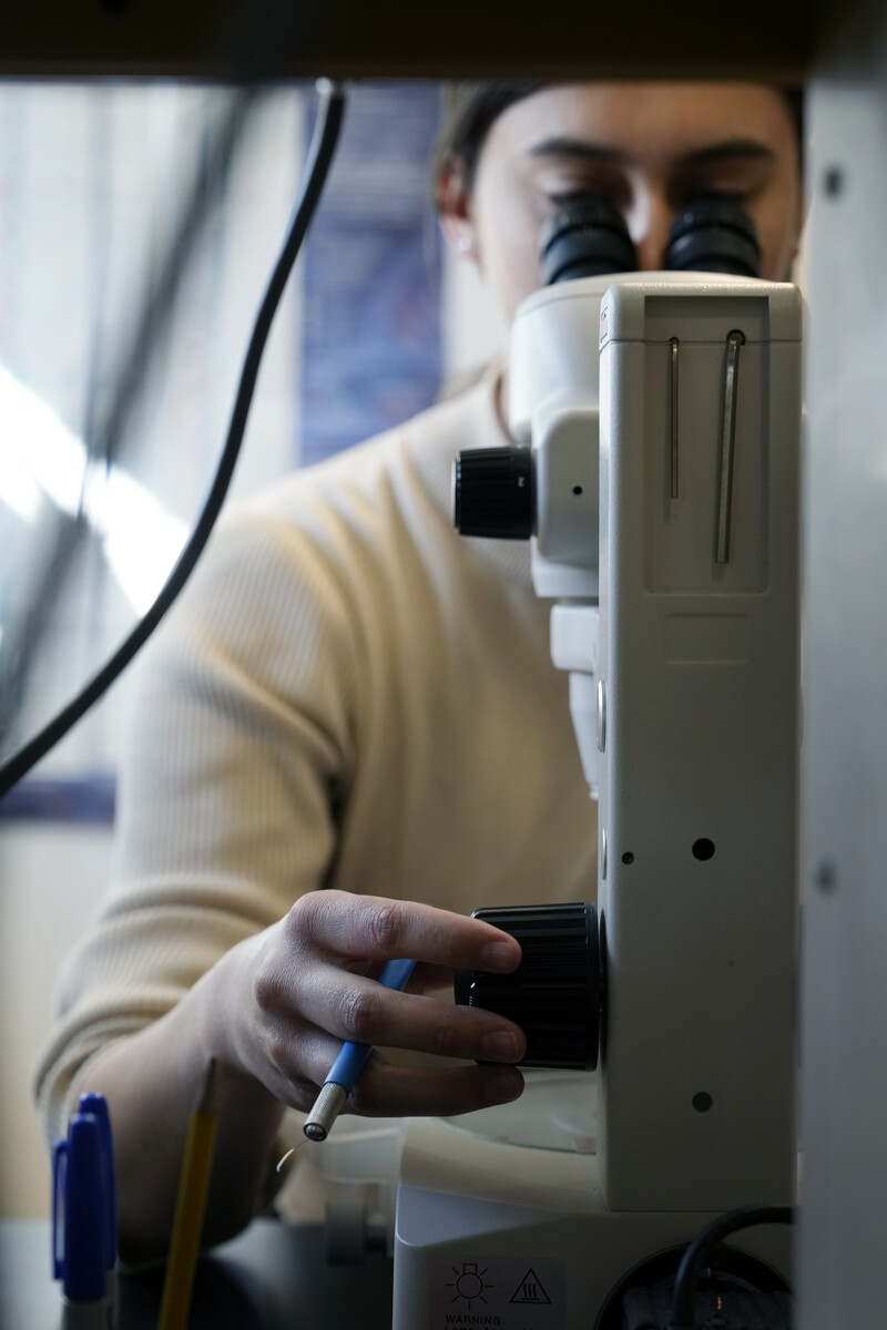 Person using an advanced microscope