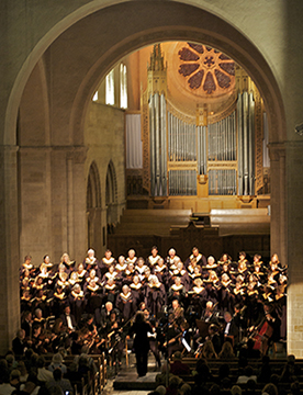  <span class="cc-gallery-credit"></span>