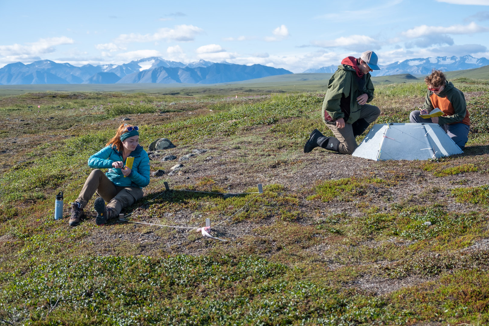 Caroline Brose '22, Zach Ginn'23, and Luca Keon '25 are pictured in front of the Brooks Range quantifying flowering in dry heath tundra. Photo taken by Sarah Ansbro in June 2022