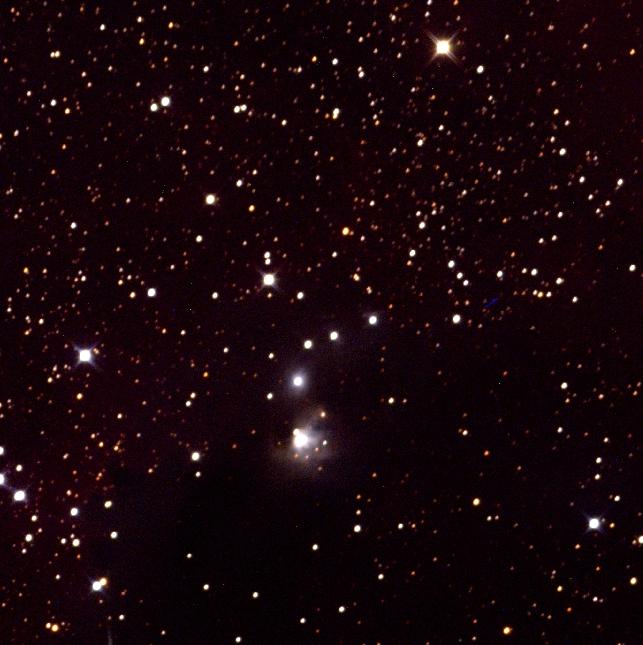 NGC 2327 Seagull Nebula