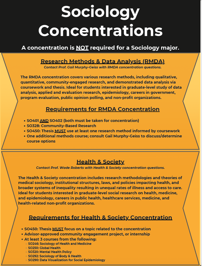 Sociology Concentrations