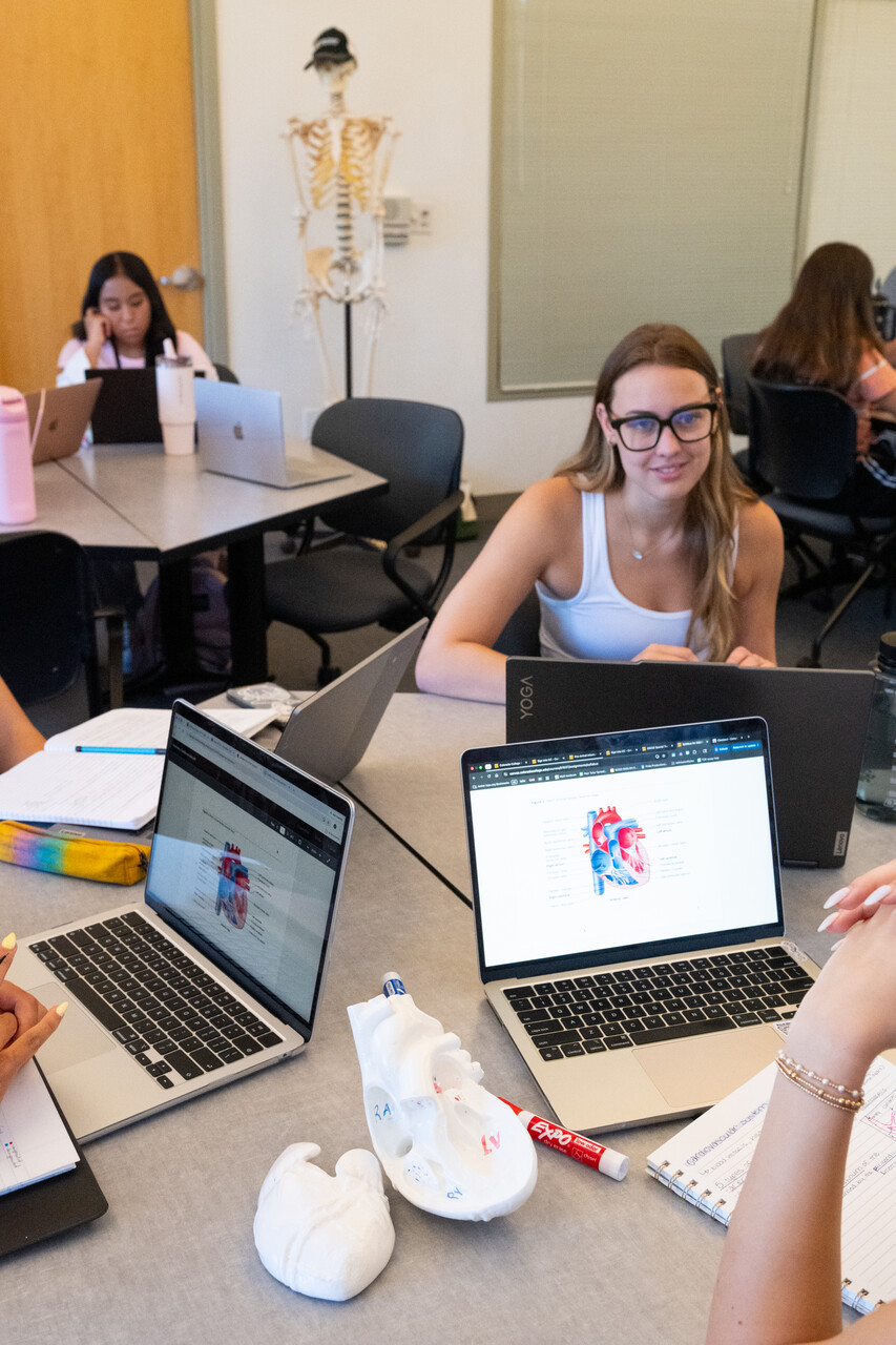 Prospective students in an anatomy class