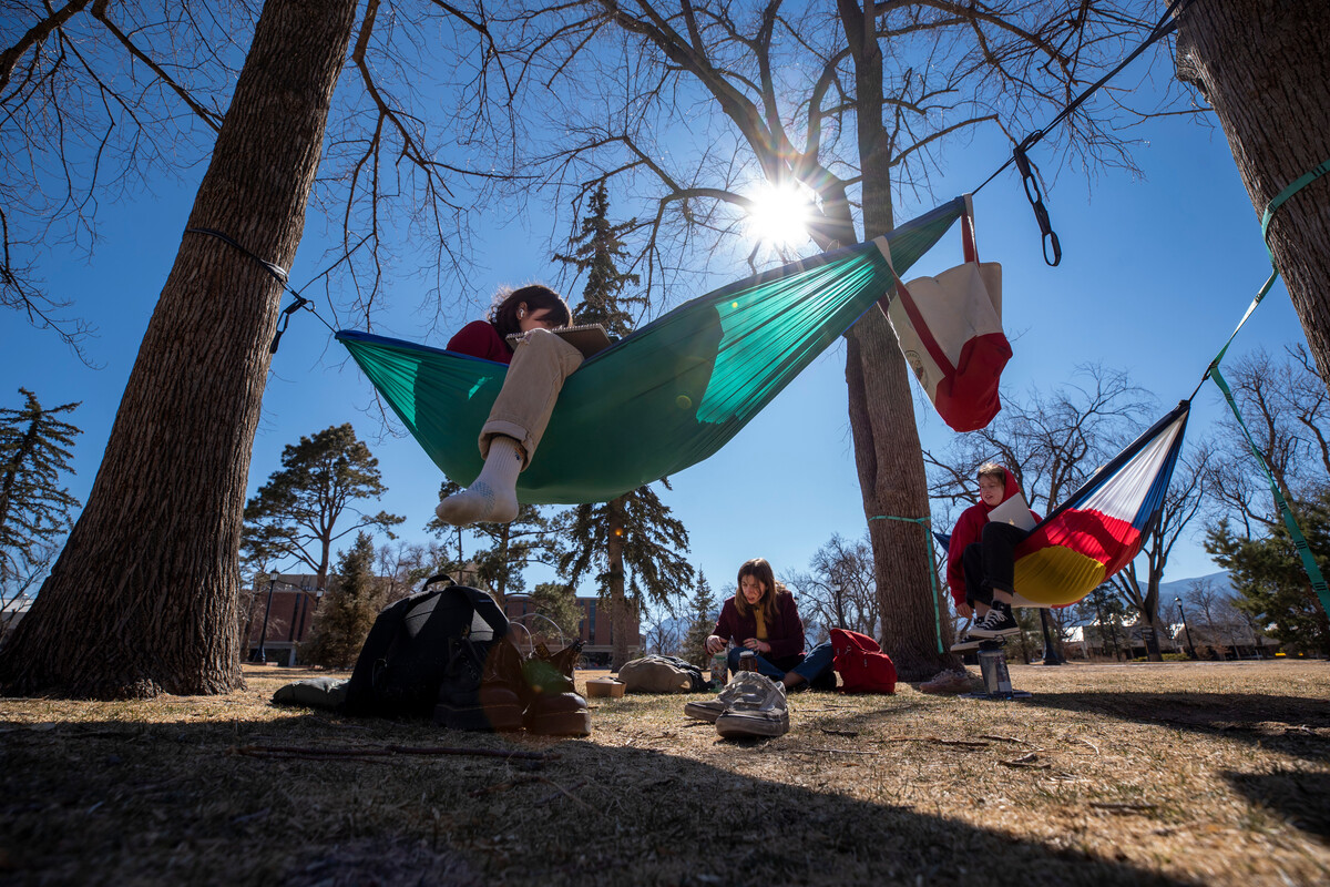 students-in-hammocks