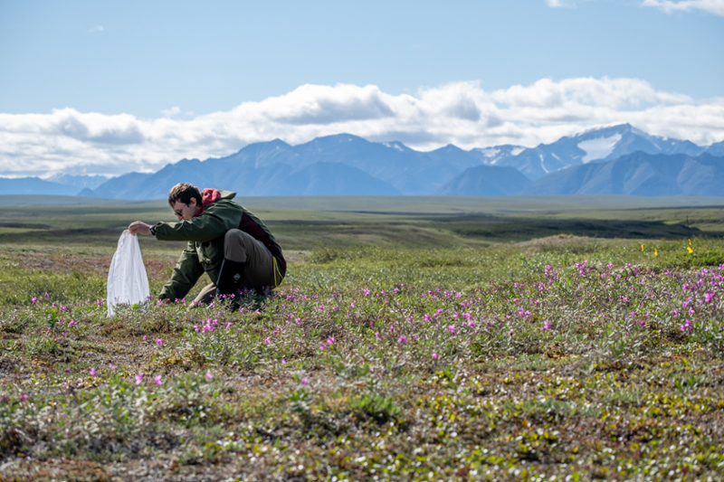 Zach Ginn '23 in the Arctic