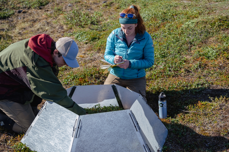 Zach Ginn '23 and Caroline Brose '22 in the Arctic