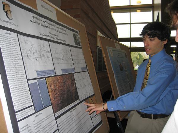 Poster Day Poster Day