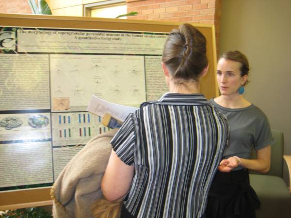 Poster Day Poster Day