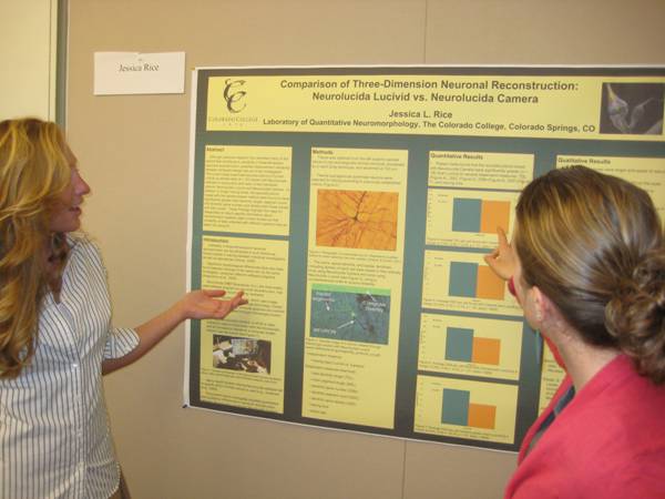 Poster Day Poster Day