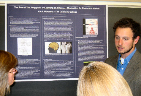 Poster Day Poster Day