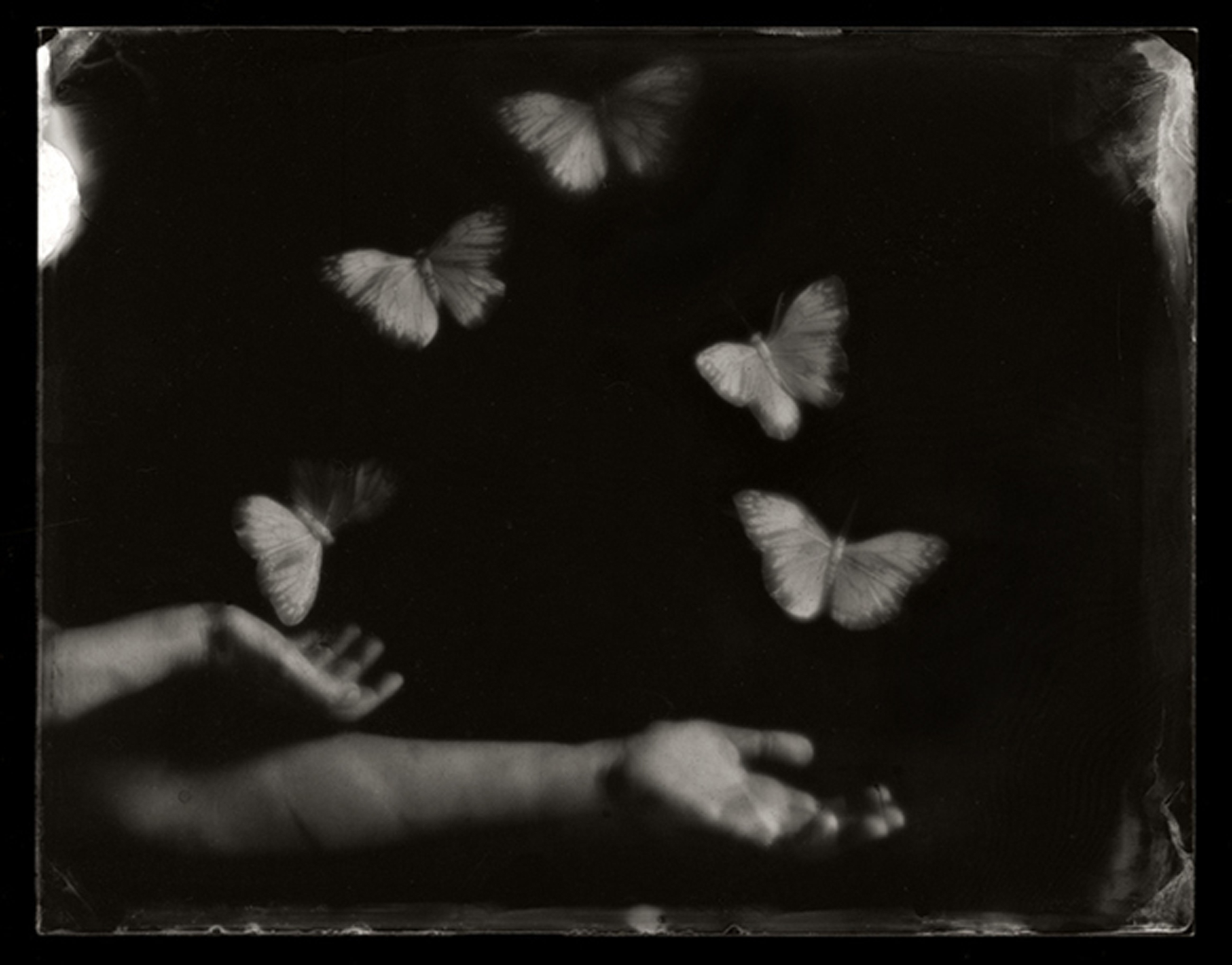 Juggling Butterflies by Emma Powell