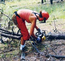 <strong>Robin Harvey ’07</strong> helps clear a trail at the Rancho del Chaparral Girl Scout Camp in Cuba, N.M., as a first-year student in 2003.