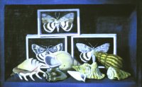 Moths and Shells, 1973 oil
