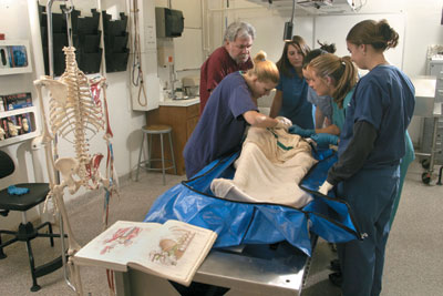 Pre-medicine, pre-physical therapy, pre-nursing, and sports medicine students work on a human cadaver as part of their training in anatomy. From left, <strong>Elisabeth Storrud ’05</strong>, Sports Science Lecturer Bruce Kola, <strong>Meryl Wolff ’08</strong>, <strong>Megan Berry ’08</strong>, <strong>Elise Hiza ’06</strong>, and<strong> Laura Morgan ’06</strong>.