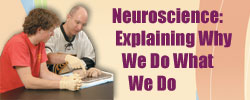 Neuroscience: Explaining Why We Do What We Do