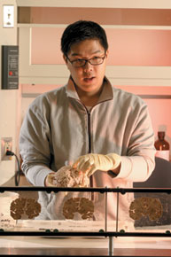 Paraprofessional <strong>Hyo Won Lee ’04</strong> uses a human brain to demonstrate how the sulci (folds) vary from person to person, depending on gender, genetics, and development. 