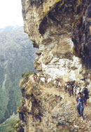 The Inca Trail