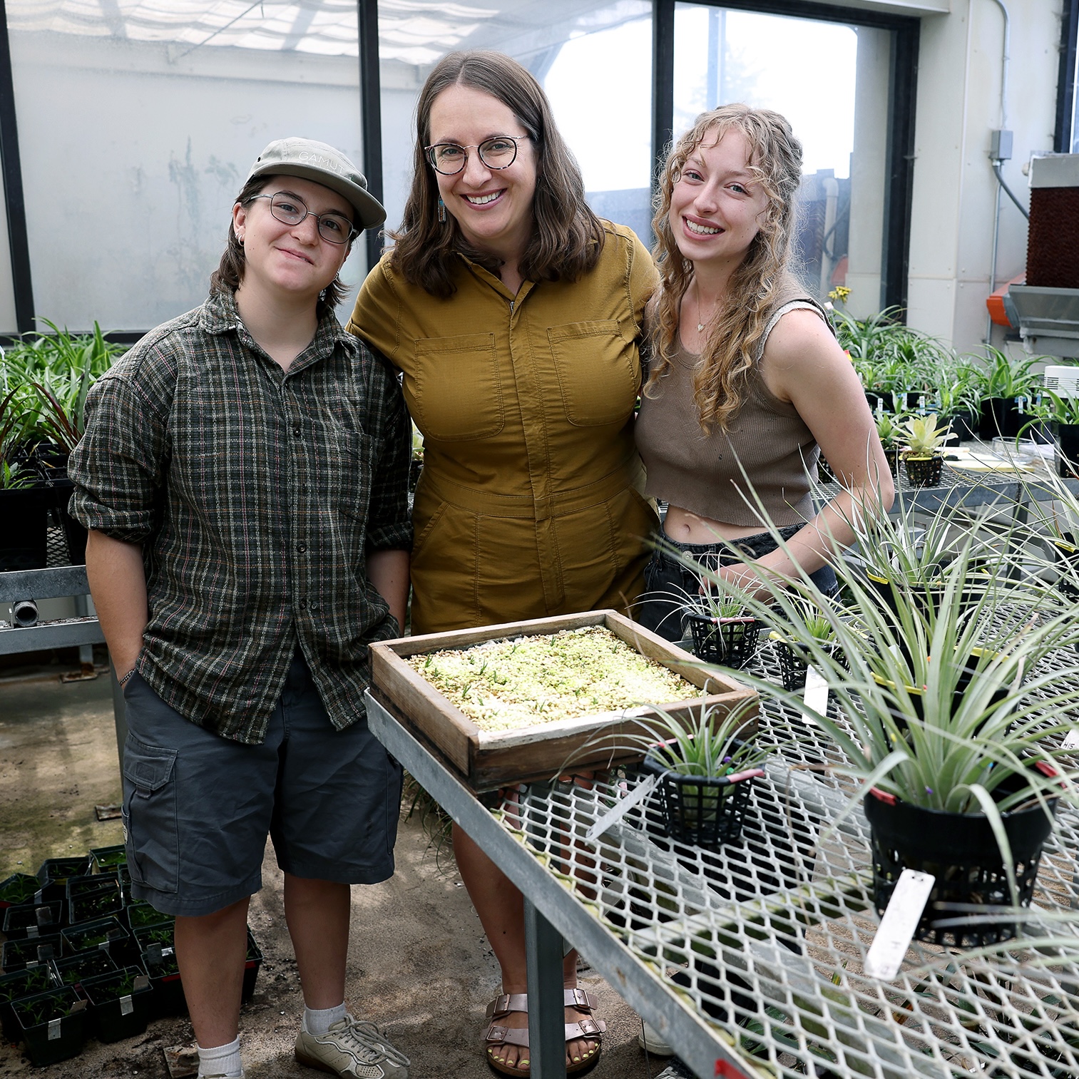 Organismal Biology & Ecology Department Receives NSF Grant