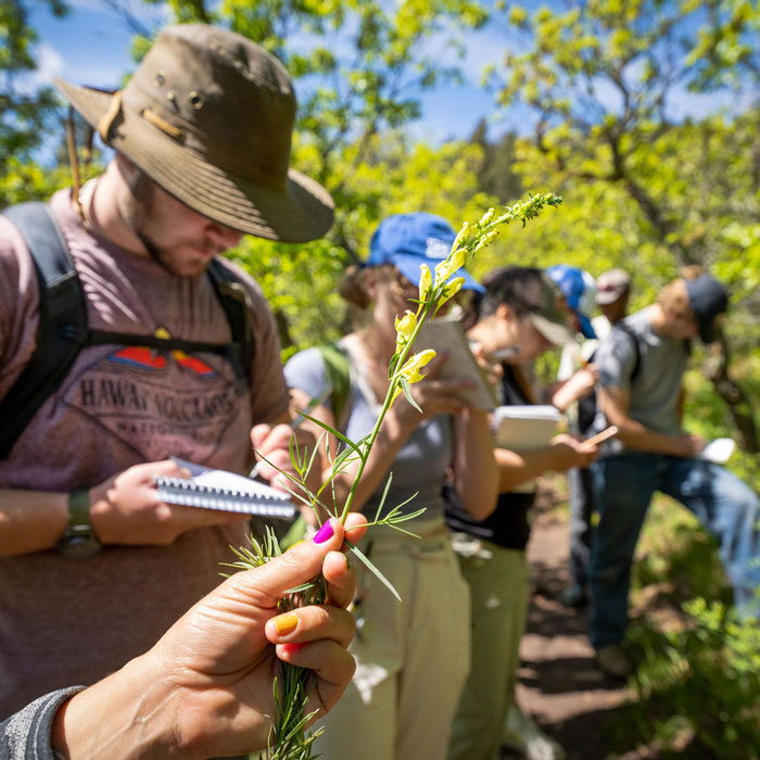 Colorado Location Gives Field Botany Students More Opportunities