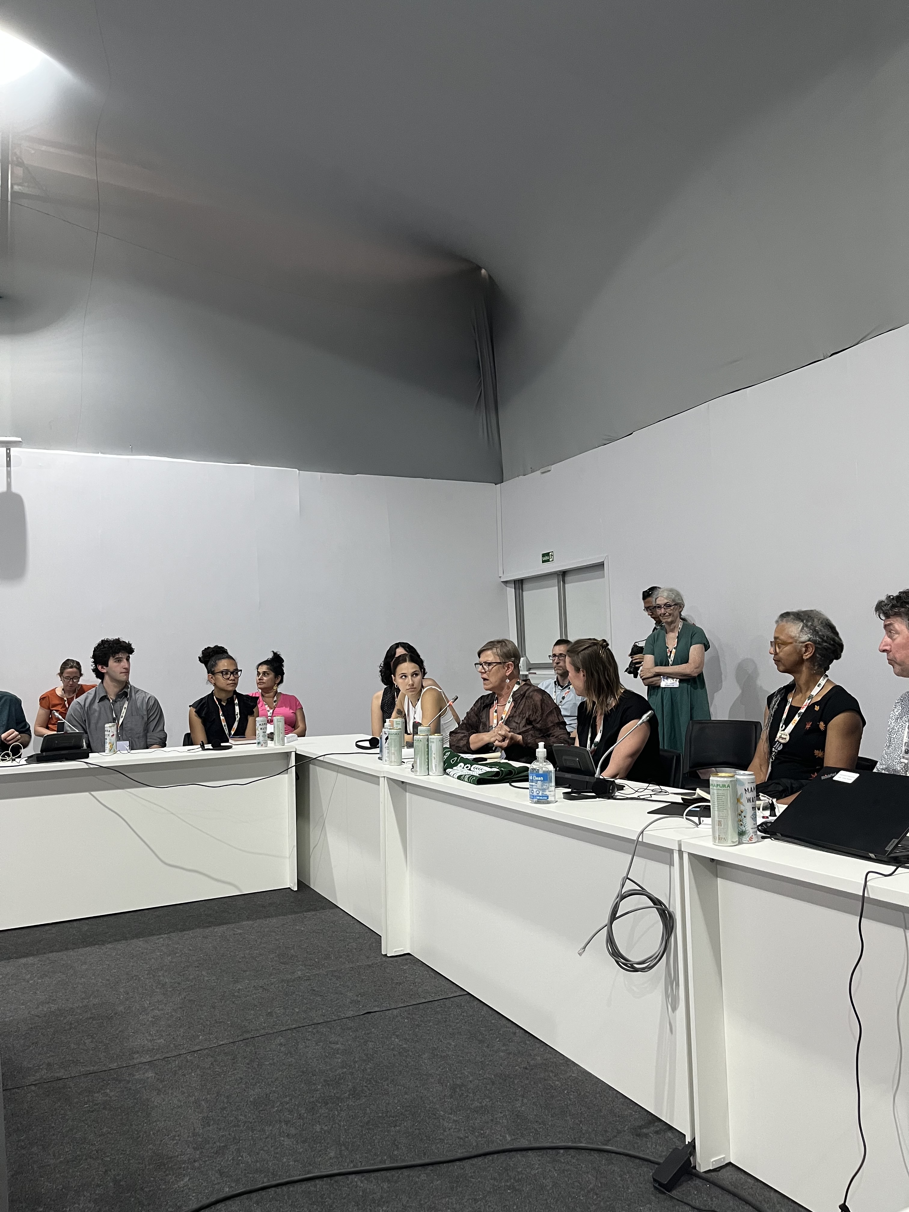 Professor of Anthropology Dr. Sarah Hautzinger speaking in a meeting between Observer Organization Constituency and Research and Independent Non-Governmental Organizations (RINGO) at COP30 in November 2025. Photo provided by Noah Furuseth ’26.