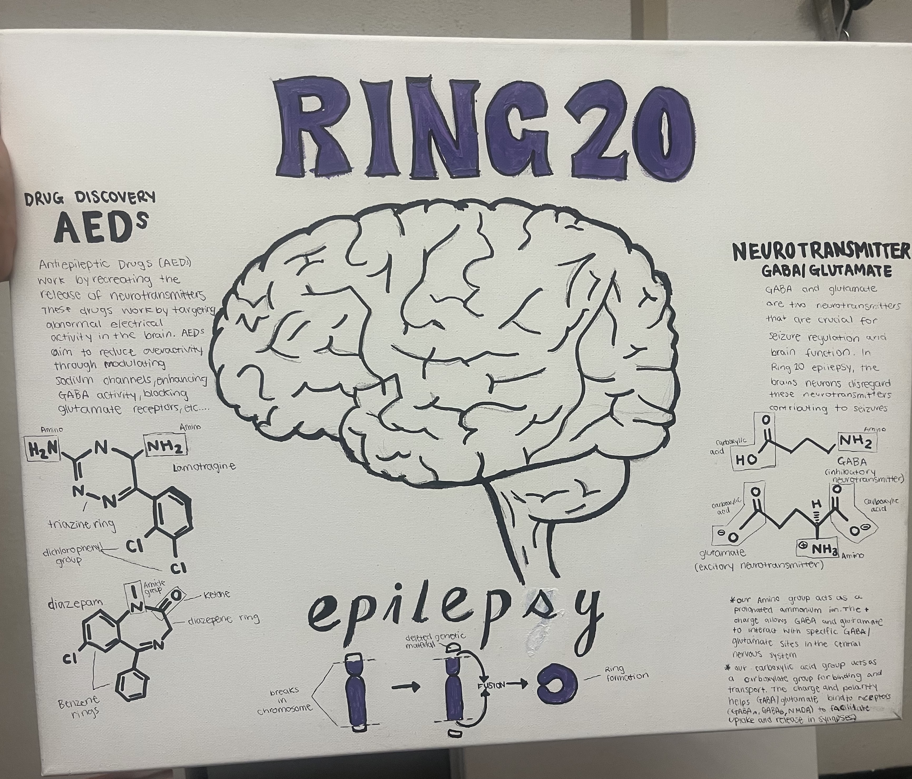 Lydia Vassallo ’27 created a painting connecting her brother's epilepsy story with topics from her Structures of Organic Molecules class, which inspired fellow classmate Hyungyu Kim ’27 to donate proceeds of his clothing business to children with epilepsy, like Vassallo's brother. Photo provided by Vassallo.