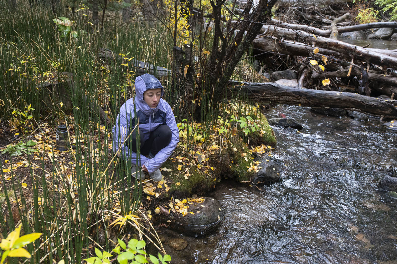 <strong>Olivia Jacobson '22</strong> finds a quiet place to meditate on gratitude during a lesson on how humans can practice positive thinking and blessings in nature to impact the environment.