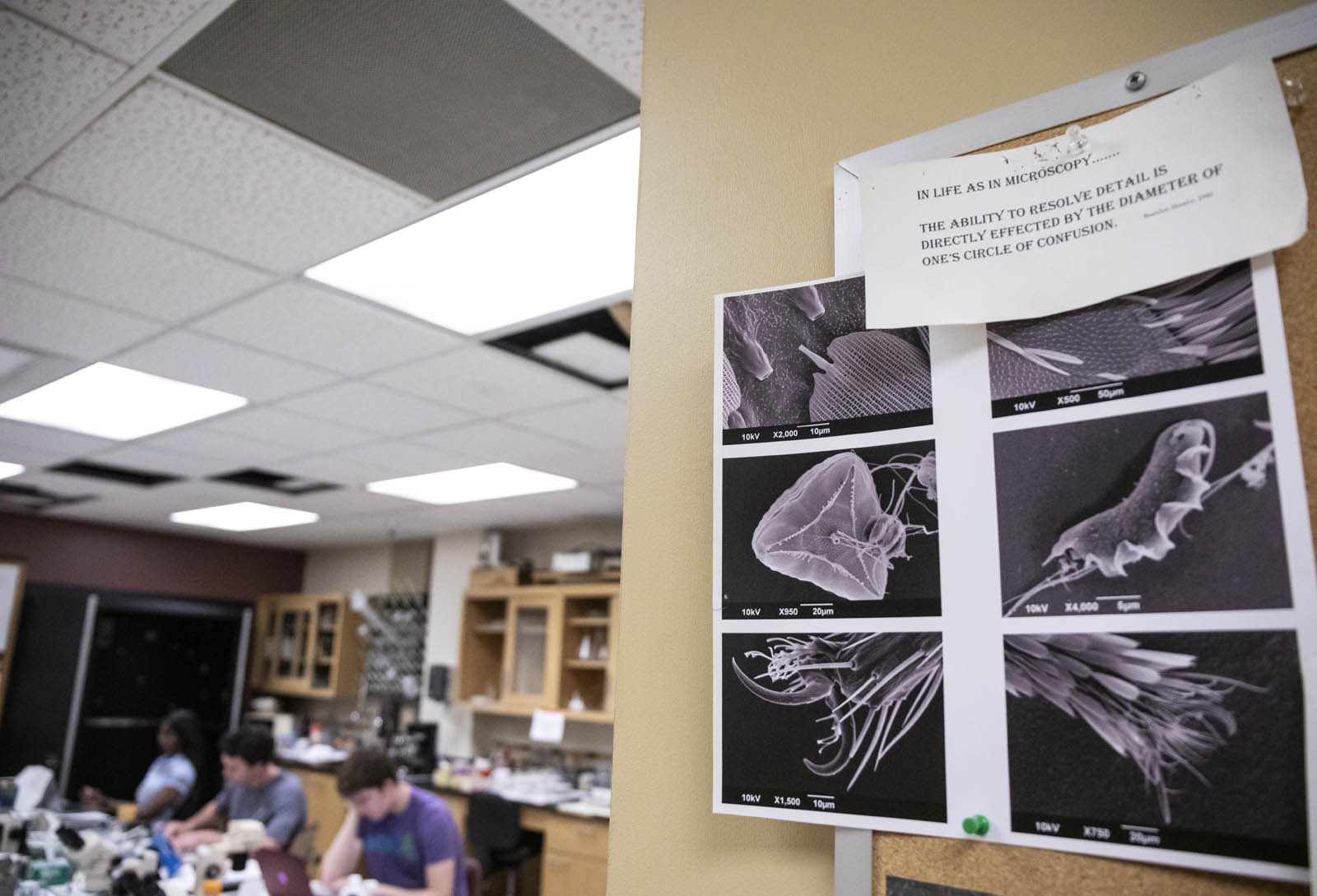 Ron Hathaway's Scanning Electron Microscopy class teaches students how to use a digital scanning microscope that they can use to take photos of microorganisms.