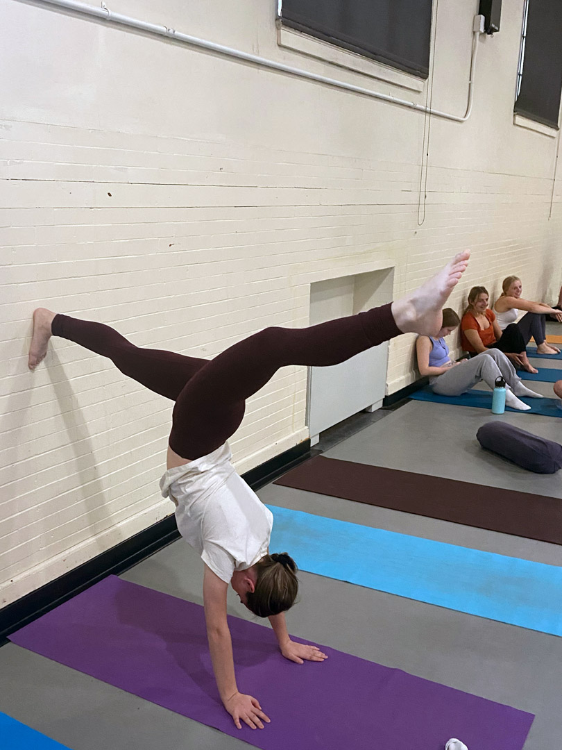 Elysium Aerial Fitness promotes body positivity, mental health through pole  dancing classes - The Daily Gamecock at University of South Carolina