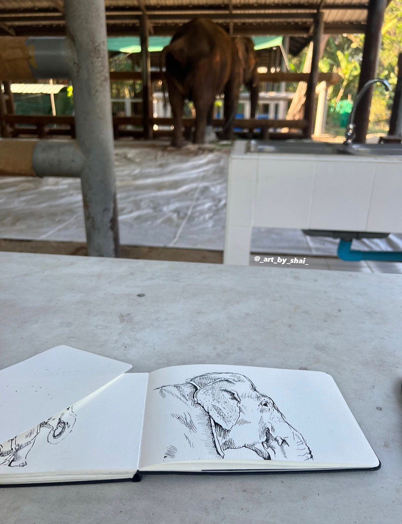 One of many drawings Gutierrez spent time sketching while observing Motala and other injured and recovering elephants at the FAE Hospital.