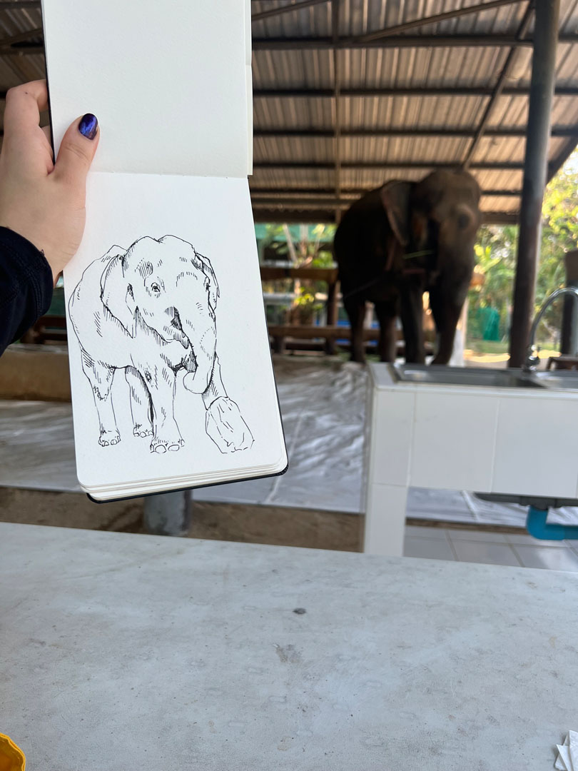 Motala posing in her stall at the FAE Hospital while Gutierrez holds up her sketch showing the elephant's orthotic leg.