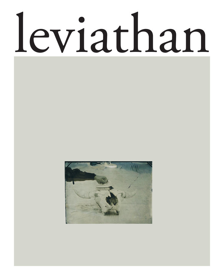 leviathan.jpeg