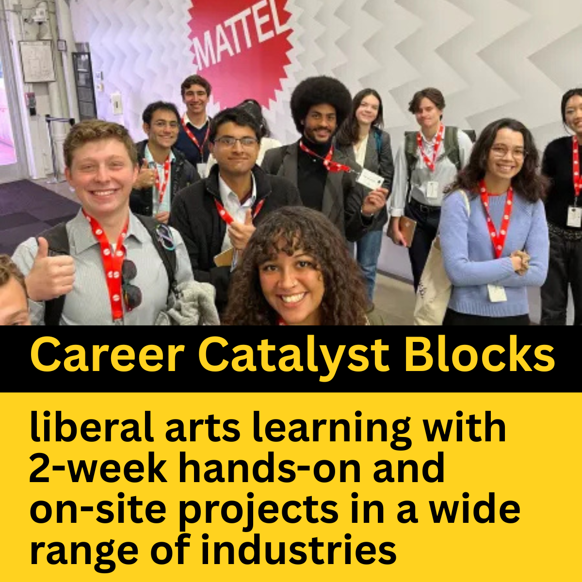 Career Catalyst Blocks